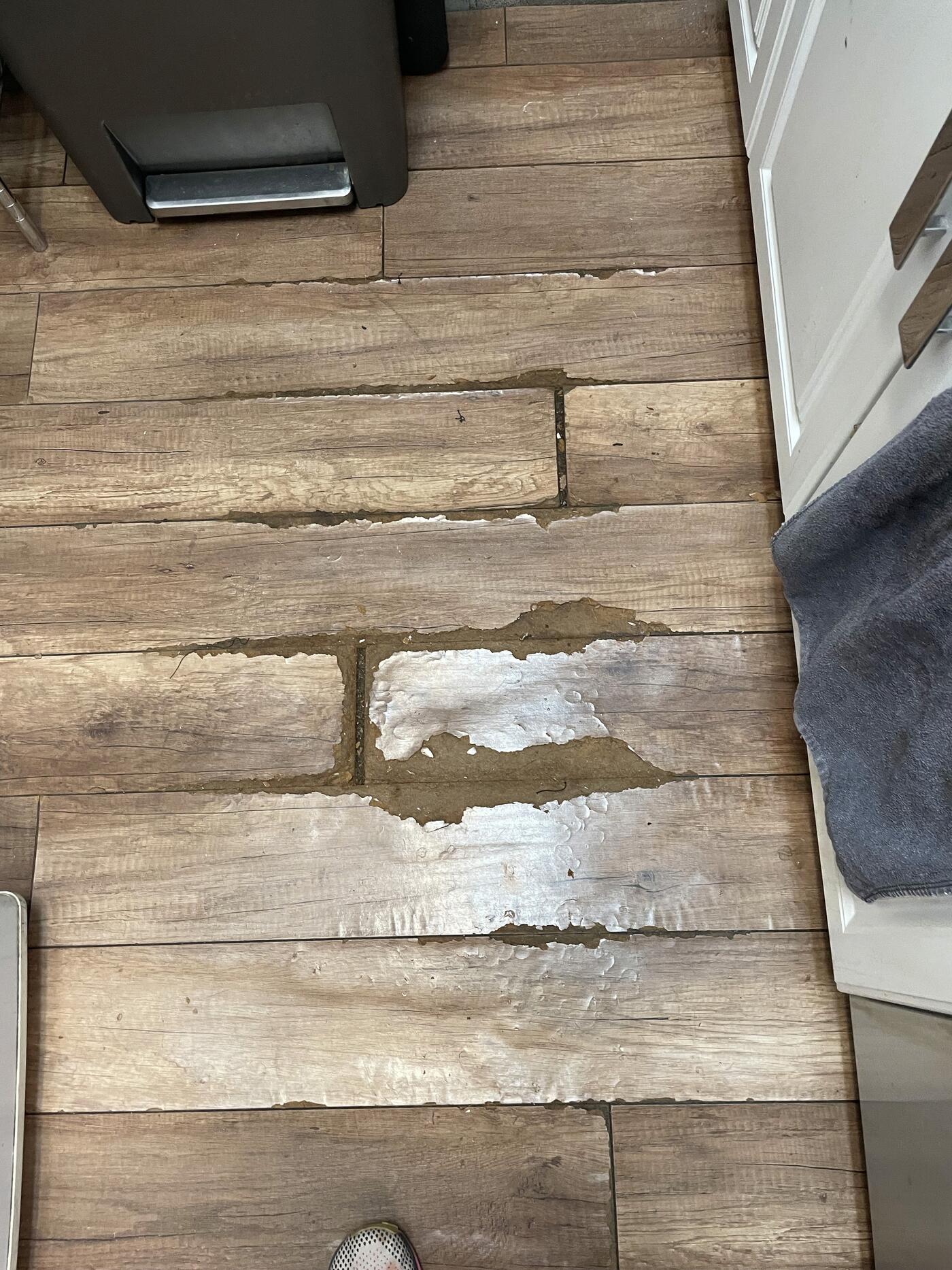 Moisture Monitoring — Quick Dry Water Restoration