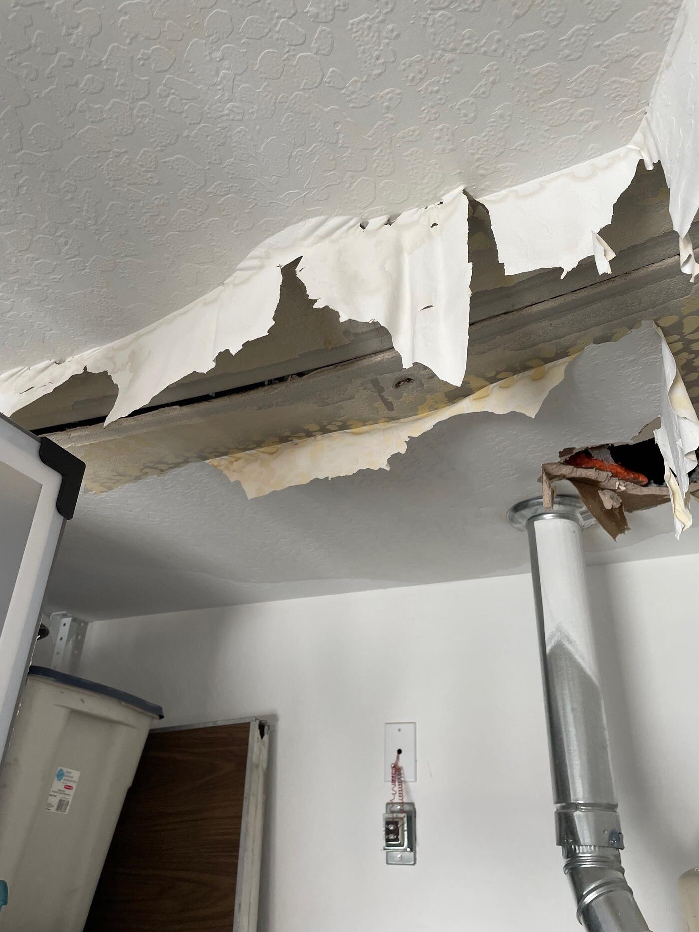 Water You Doing Up There? An Attic's Wet Surprise