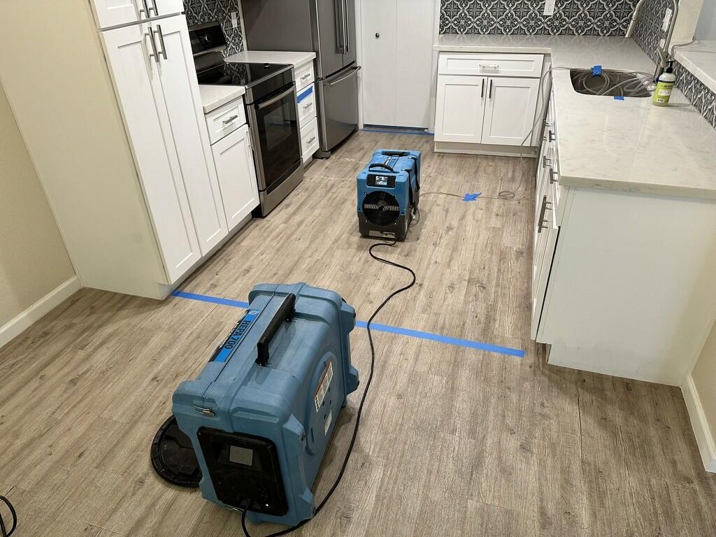 Sewage Backup Cleanup work in progress