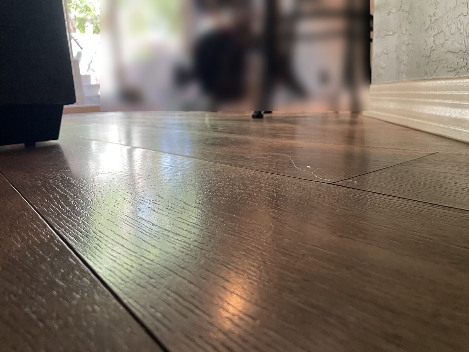 Water damage restoration job photo from Chandler, AZ