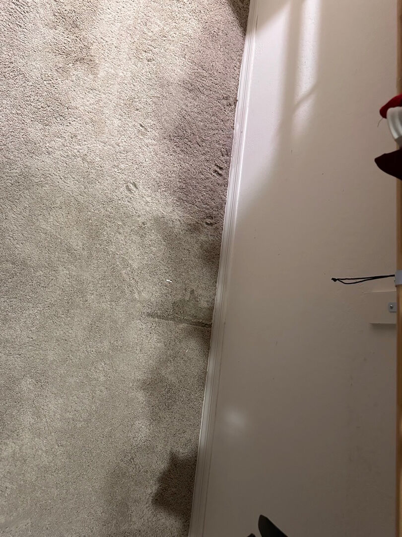 Water damage restoration job photo from Glendale, AZ