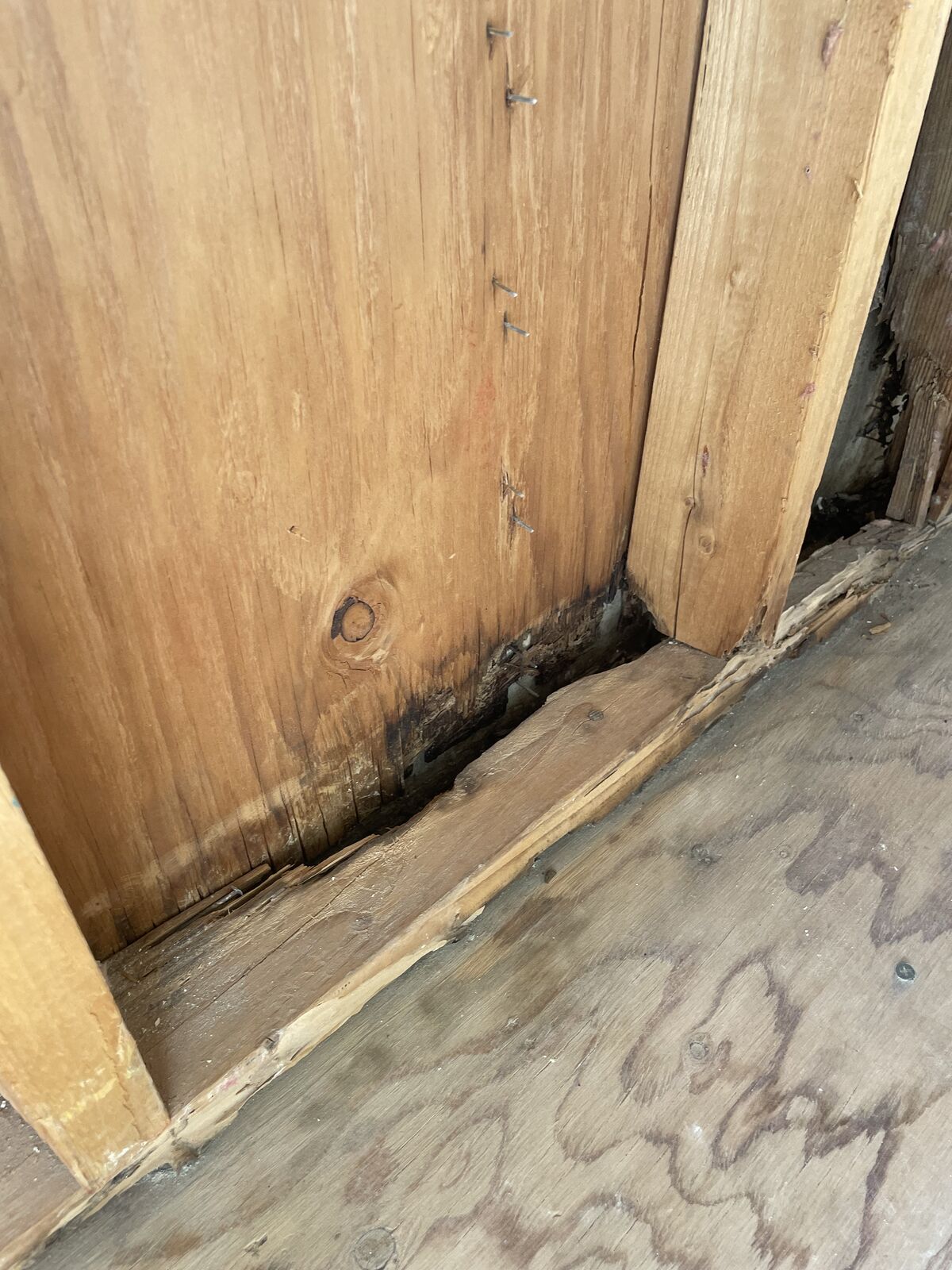 Water damage restoration job photo from Tempe, AZ
